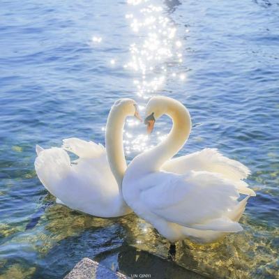 百姓官方彩票网站