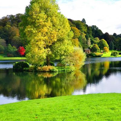 Bsport体育在线官网