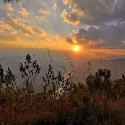 米乐app官方地址