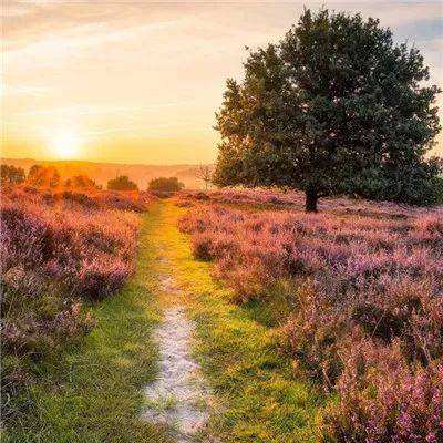 星空体育官方网站下载手机版