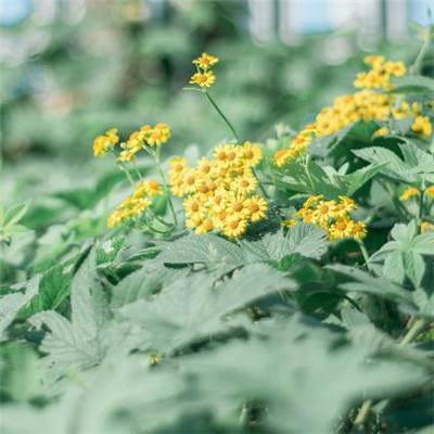 奥亚国际-登录入口